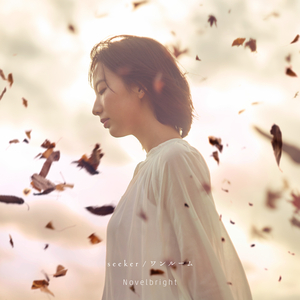 精品视频在线免费观看91
