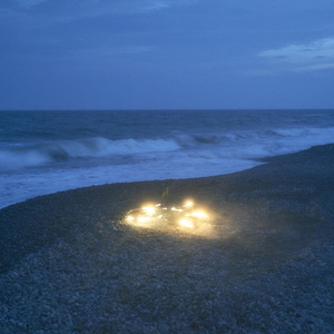 精品视频在线免费观看91
