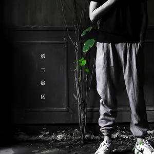 精品视频在线免费观看91
