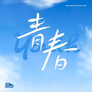 精品视频在线免费观看91
