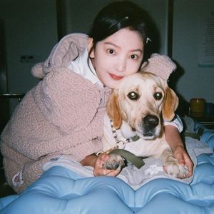 精品视频在线免费观看91
