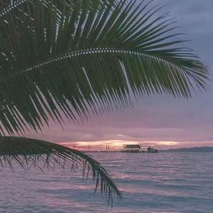 精品视频在线免费观看91
