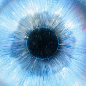 精品视频在线免费观看91
