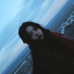 精品视频在线免费观看91
