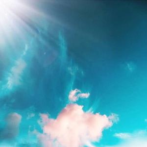 精品视频在线免费观看91
