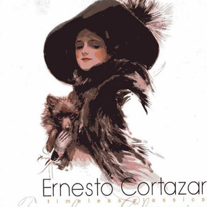 精品视频在线免费观看91
